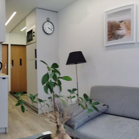 Appartamento Salia Centro VNO Esterno foto